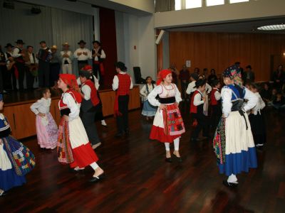 IMG 9482
