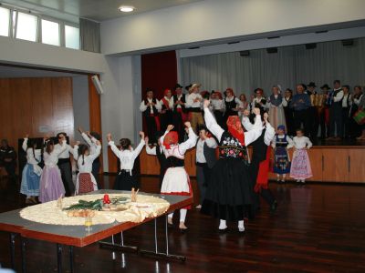 IMG 9509