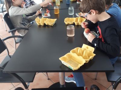 20190416 154625