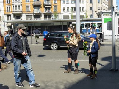 IMG 2772