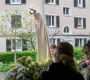 DSC01632