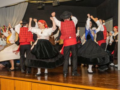 DSC03993